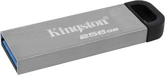 DTKN/256GB