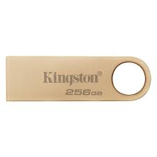 DTSE9G3/256GB