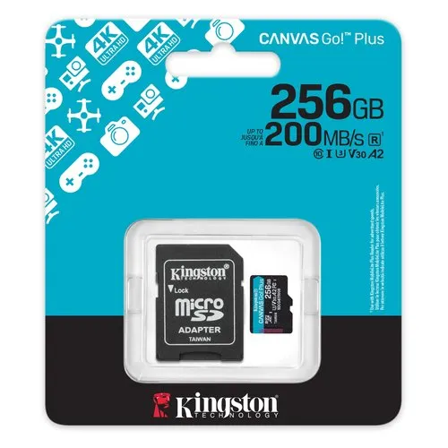SDCG4/256GB