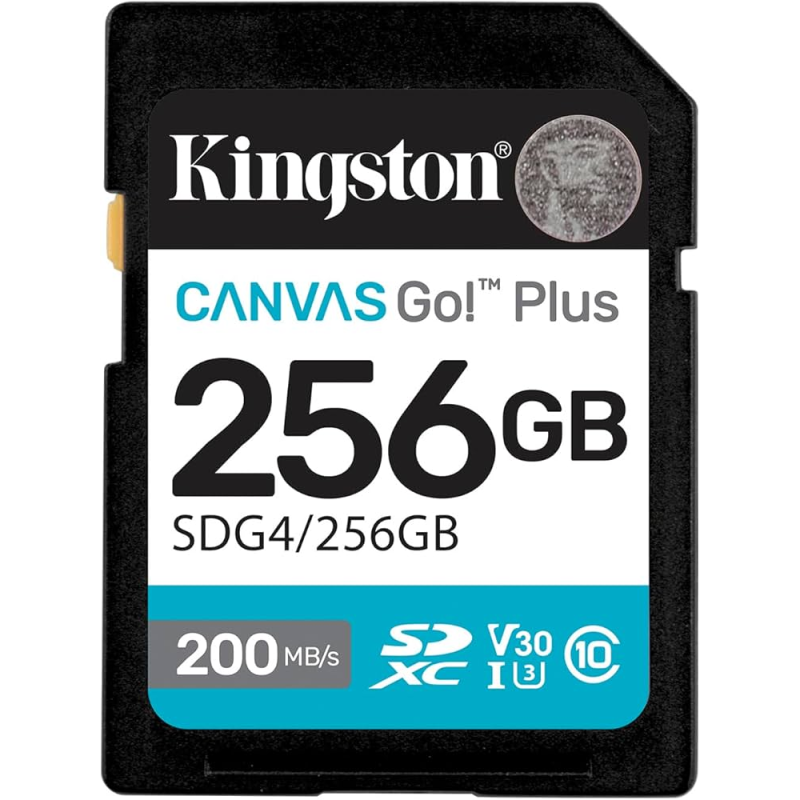 SDG4/256GB
