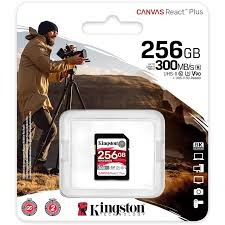 SDR2/256GB