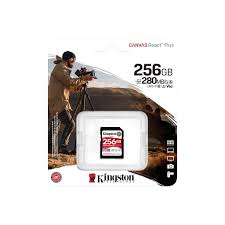 SDR2V6/256GB