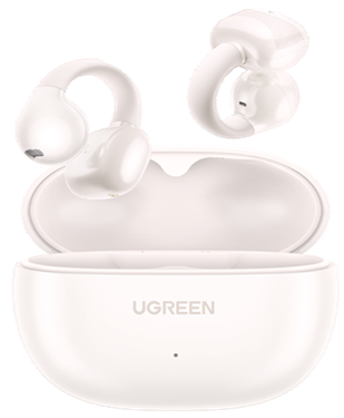 USB-C Earphone